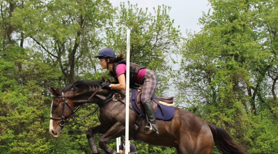 Comment Utiliser des Panneaux de Bois pour Ajouter du Caractère