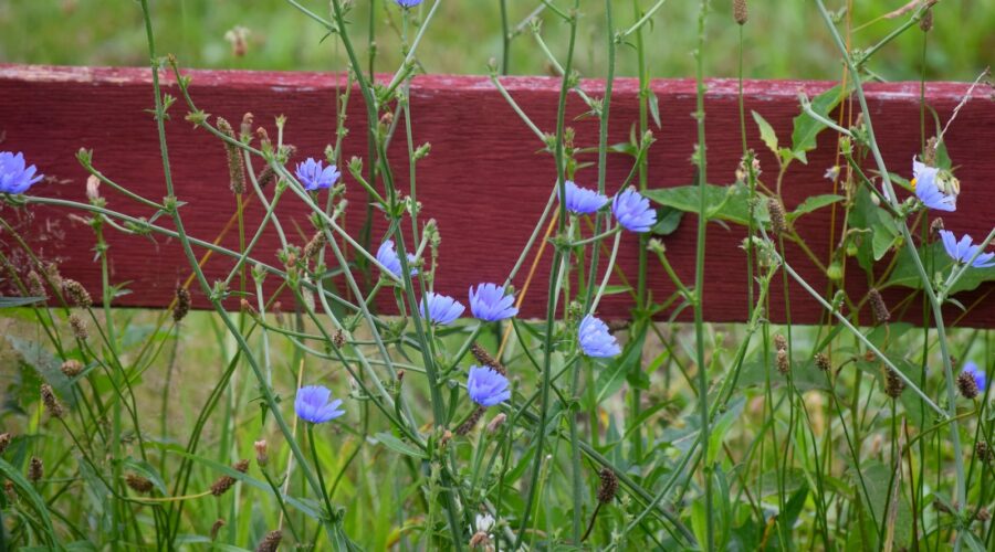 Comment Ajouter des Étagères de Rangement Suspendues