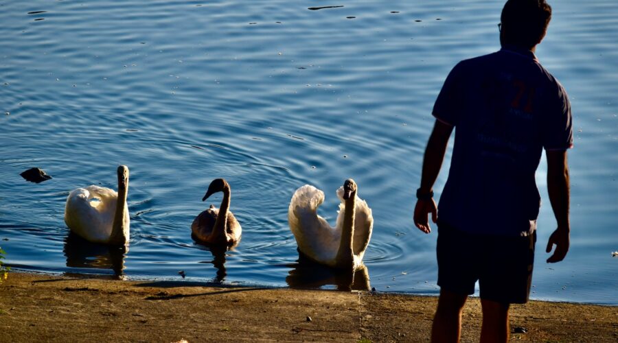 Comment Ajouter une Tête de Lit à Votre Chambre
